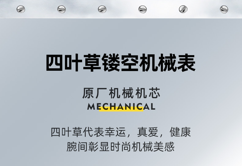 8851钢带_01.jpg