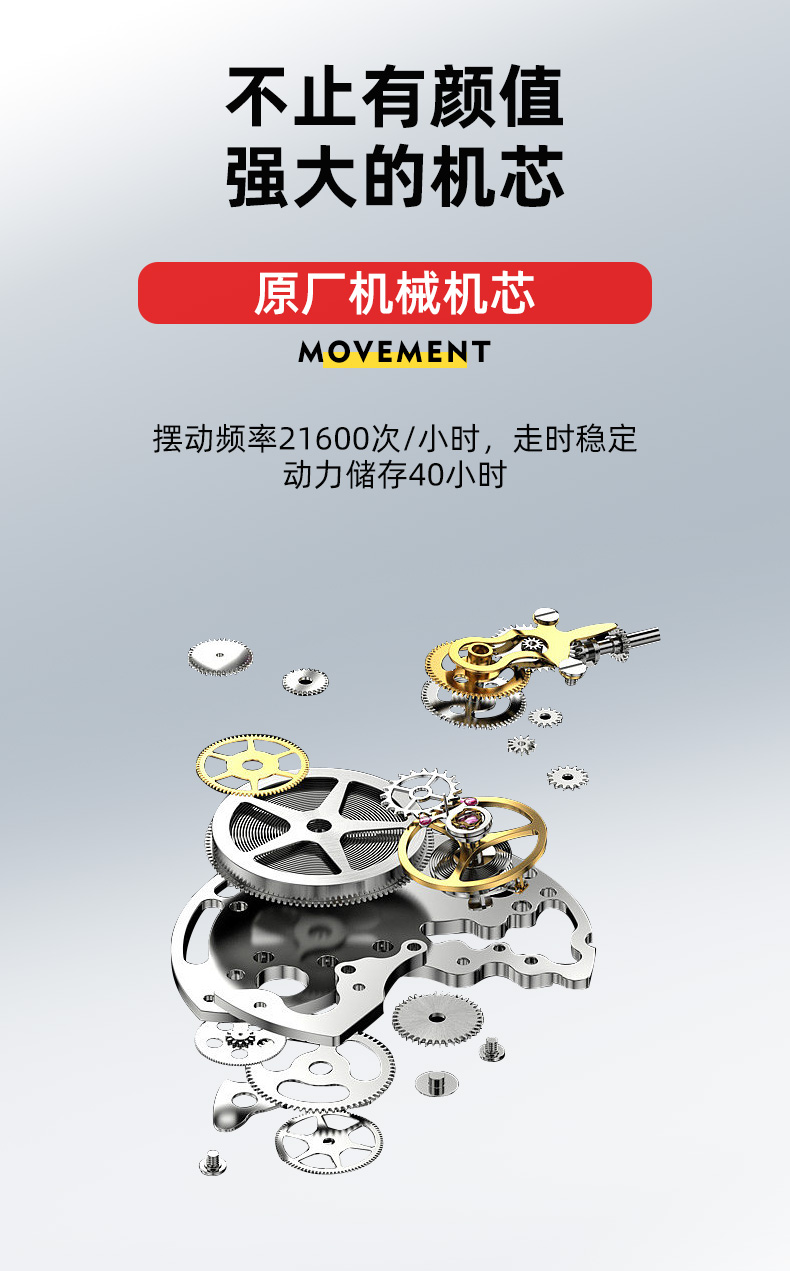 8851钢带_07.jpg